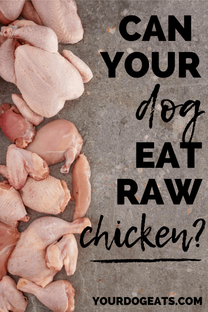 a bunch of raw chicken with a text overlay that says can your dog eat raw chicken
