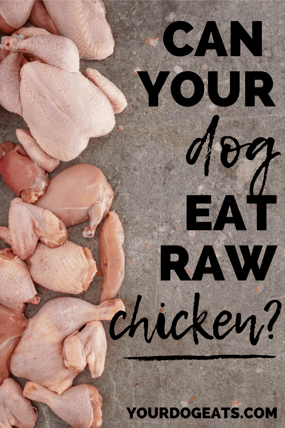 can-dogs-eat-raw-chicken-your-dog-eats