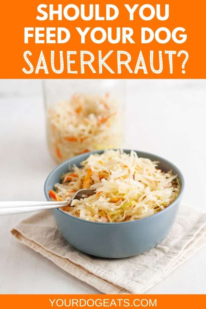 a bowl of sauerkraut next to a jar of it, with a text overlay that says should you feed your dog sauerkraut