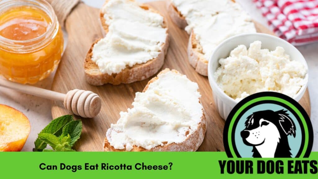 pieces of bread with ricotta cheese spread on top.