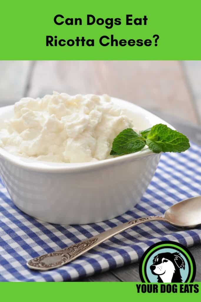 A bowl of ricotta cheese on a blue tablecloth with the caption "can dogs eat ricotta cheese" below. 